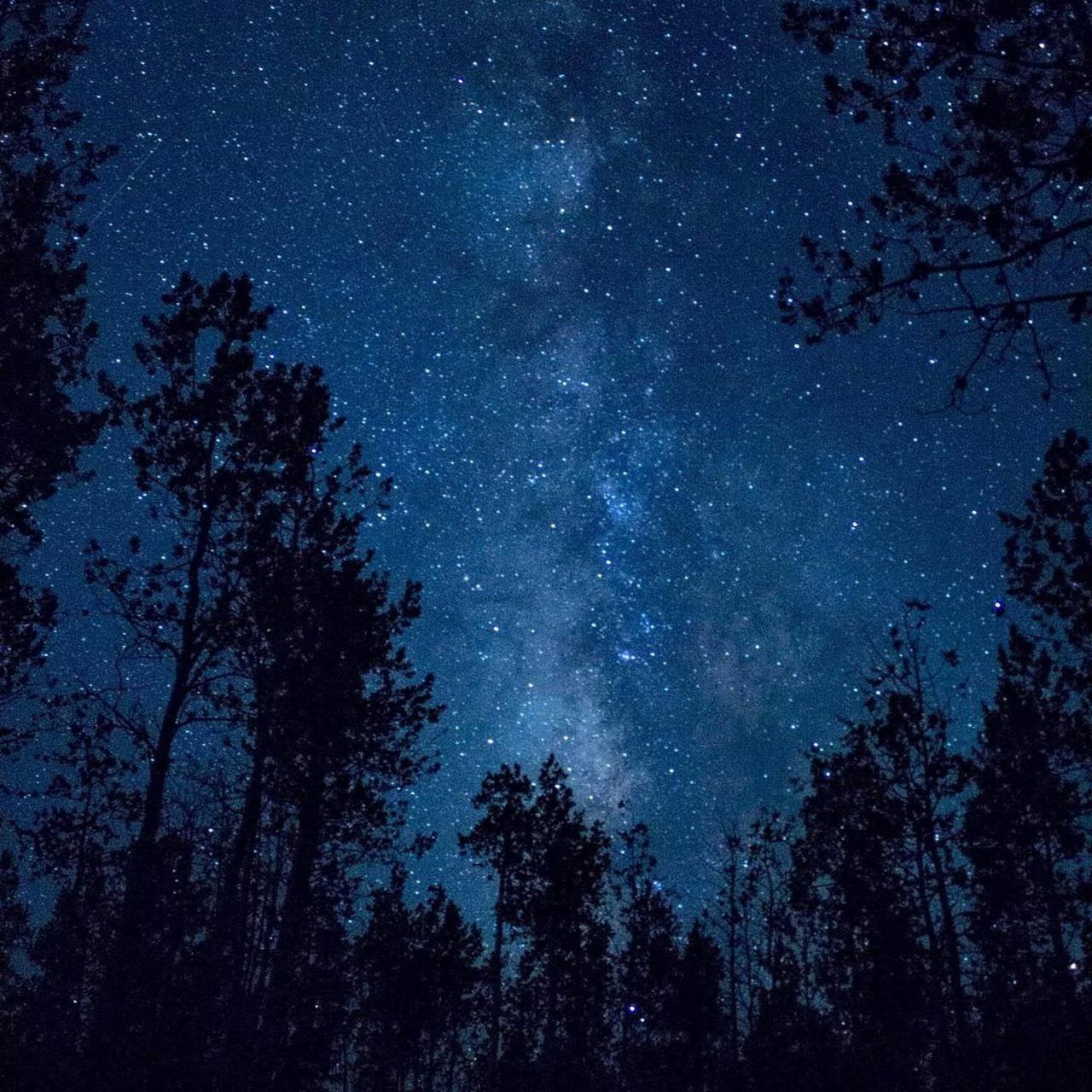The Milky Way @ Pine Resort Fraser Hill Exterior foto